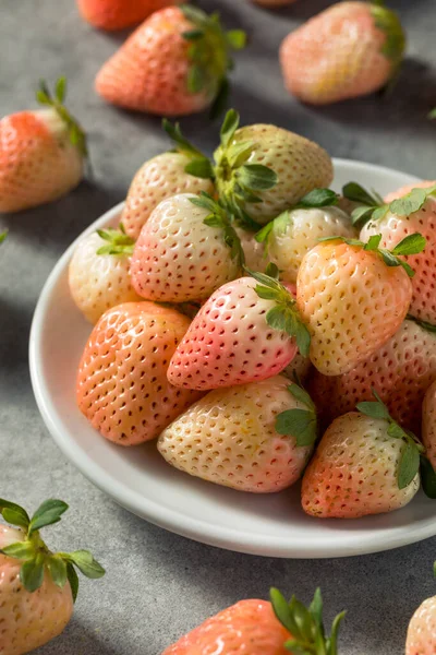 Organik Çiğ Pembe Pineberry Çilek Kasesi — Stok fotoğraf