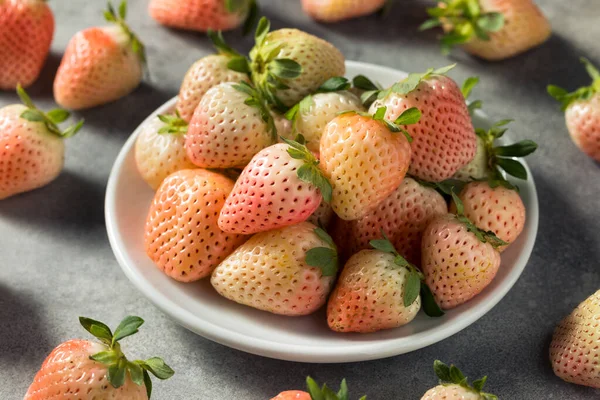 Organik Çiğ Pembe Pineberry Çilek Kasesi — Stok fotoğraf