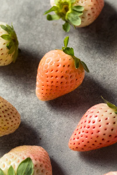 Organik Çiğ Pembe Pineberry Çilek Kasesi — Stok fotoğraf