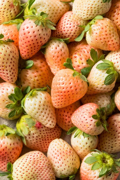 Organik Çiğ Pembe Pineberry Çilek Kasesi