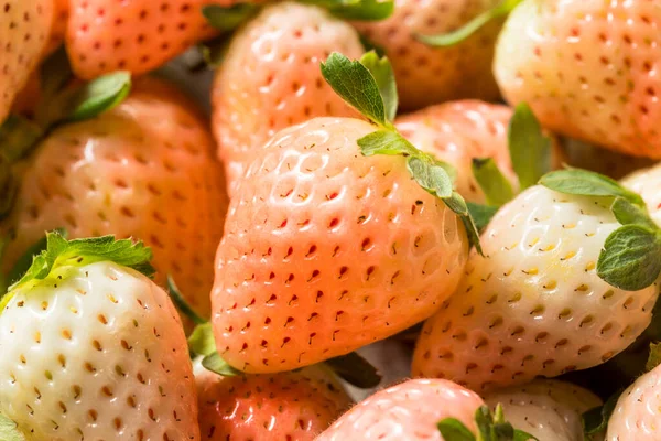 Orgánica Raw Pink Pineberries Fresa Tazón —  Fotos de Stock