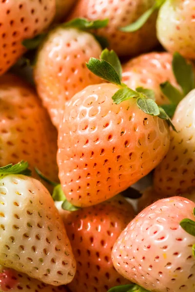 Organik Çiğ Pembe Pineberry Çilek Kasesi