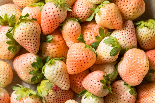 Βιολογική Ακατέργαστη Φράουλα Pink Pineberries Μπολ — Φωτογραφία Αρχείου