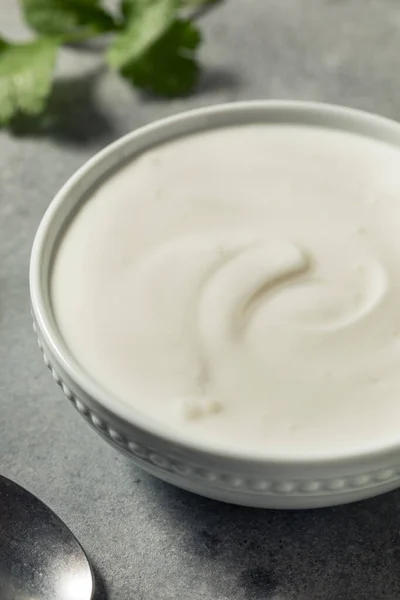 Homemade Creamy Mexican Crema Dip Bowl — 스톡 사진