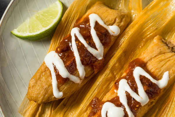 Σπιτικό Μοσχάρι Cornmeal Tamales Salsa Και Crema — Φωτογραφία Αρχείου