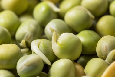 Çiğ yeşil organik Alaska bezelyeleri kasede