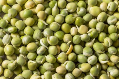 Çiğ yeşil organik Alaska bezelyeleri kasede