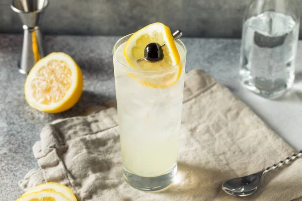 Boozy Refreshing Tom Collins Cocktail Gin Lemon — ストック写真