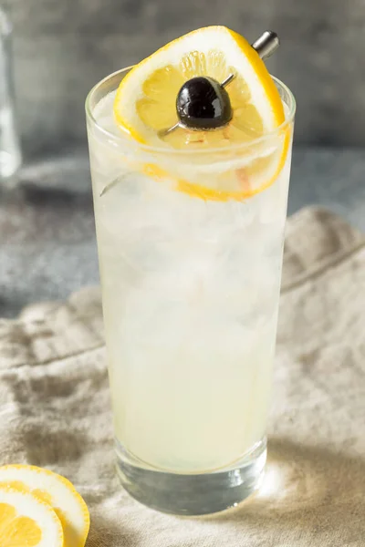 Boozy Refreshing Tom Collins Cocktail Gin Lemon — стоковое фото