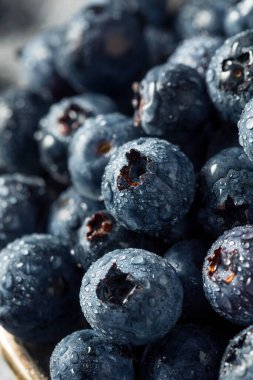 Çiğ mavi organik yaban mersini kasesinde yemeye hazır.