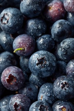 Çiğ mavi organik yaban mersini kasesinde yemeye hazır.