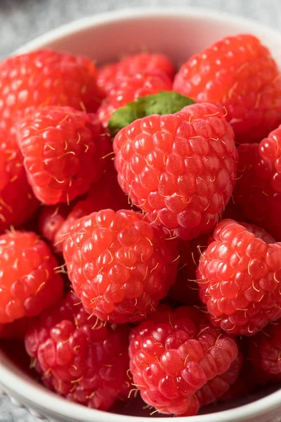 Framboises Rouges Crues Biologiques Dans Bol — Photo