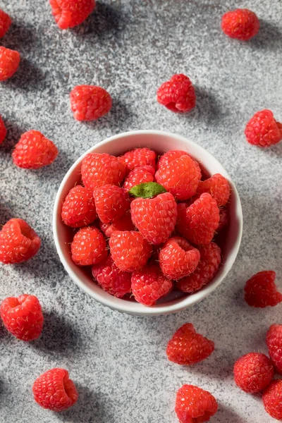 Bir kasede çiğ kırmızı organik ahududu