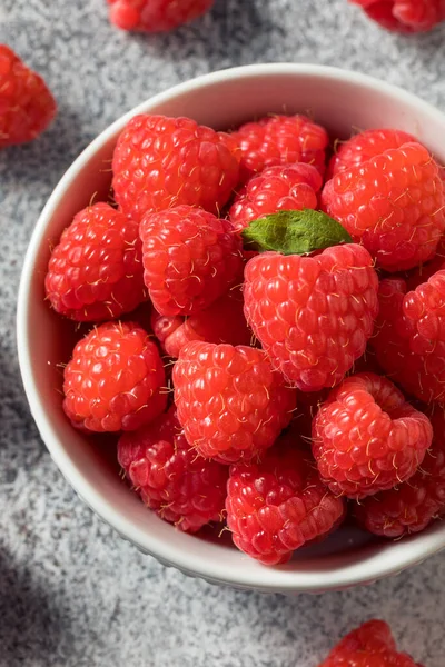 Bir kasede çiğ kırmızı organik ahududu