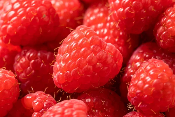 Raw Red Organic Raspberries Bowl — Stock Photo, Image