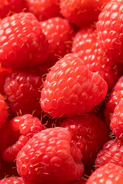 Rohe Rote Bio Himbeeren Einer Schüssel — Stockfoto