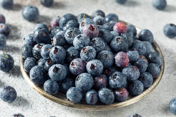 Raw Blue Organic Blueberries Bowl Ready Eat — Stock Photo, Image