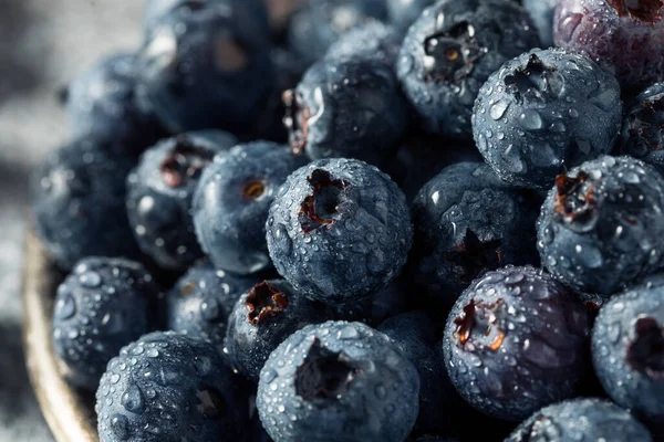Çiğ mavi organik yaban mersini kasesinde yemeye hazır.