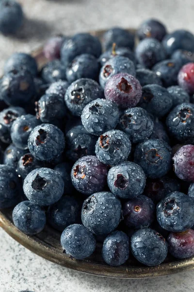 Çiğ mavi organik yaban mersini kasesinde yemeye hazır.