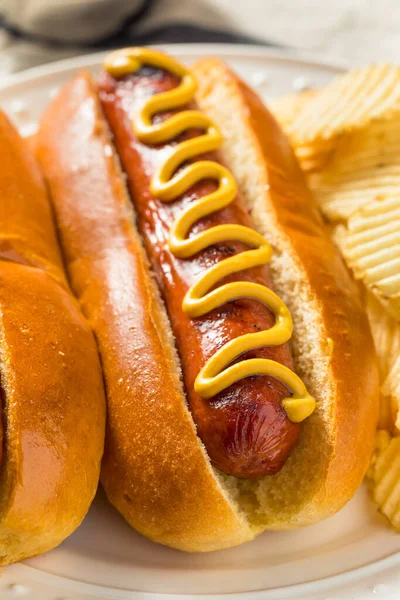 Zelfgemaakte Amerikaanse Hot Dog Met Mosterd Chips — Stockfoto