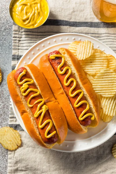Homemade American Hot Dog Mustard Potato Chips — Stockfoto