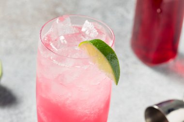 Buzlu Cin Hibiscus Soda ve Limonlu Highball Kokteyli