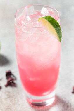 Buzlu Cin Hibiscus Soda ve Limonlu Highball Kokteyli