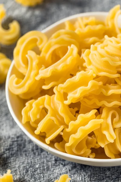Dry Organic Cascatelli Pasta Een Schaal — Stockfoto