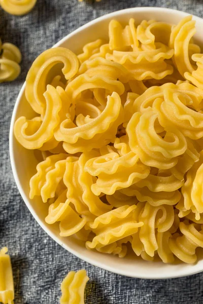 Dry Organic Cascatelli Pasta Bowl — Stock Photo, Image