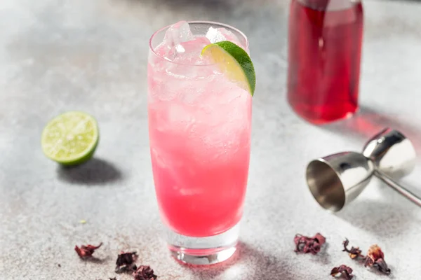 Boozy Cold Gin Hibiscus Highball Cocktail Soda Lime — стокове фото