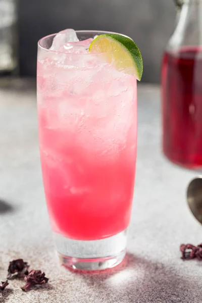 Boozy Cold Gin Hibiscus Highball Cocktail Mit Soda Und Limette — Stockfoto