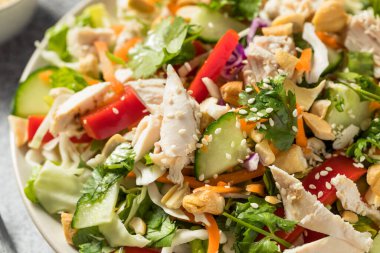 Healthy Homemade Sesame Asian Salad with Chicken Carrot and Cabbage