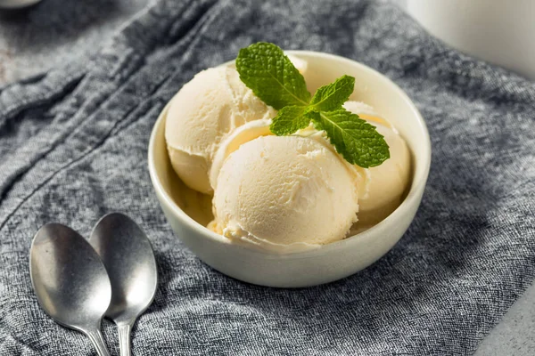 Homemade Frozen Vanilla Ice Cream Ready Eat — Fotografia de Stock