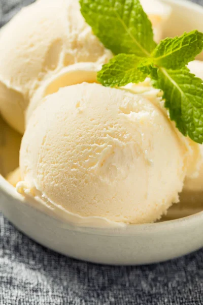 Homemade Frozen Vanilla Ice Cream Ready Eat — стоковое фото