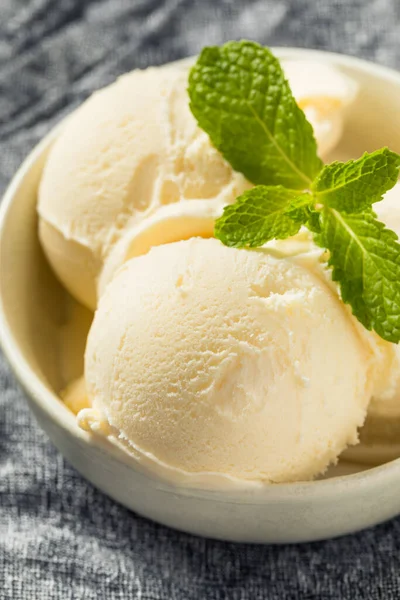 Homemade Frozen Vanilla Ice Cream Ready Eat — стоковое фото