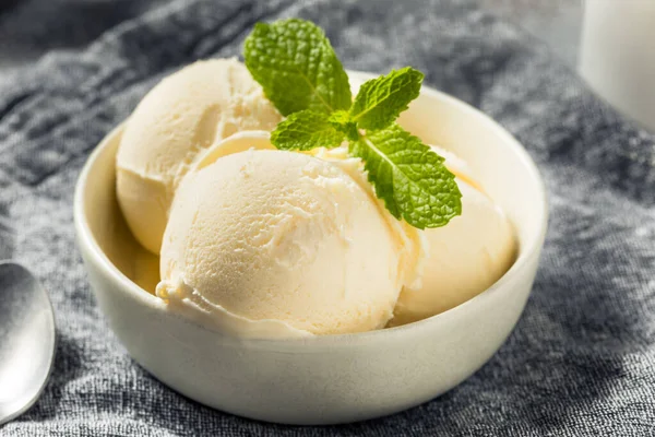 Homemade Frozen Vanilla Ice Cream Ready Eat — Zdjęcie stockowe