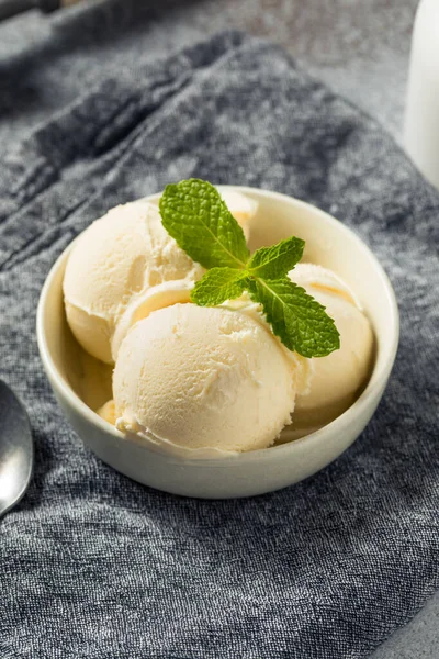 Homemade Frozen Vanilla Ice Cream Ready Eat — Stockfoto