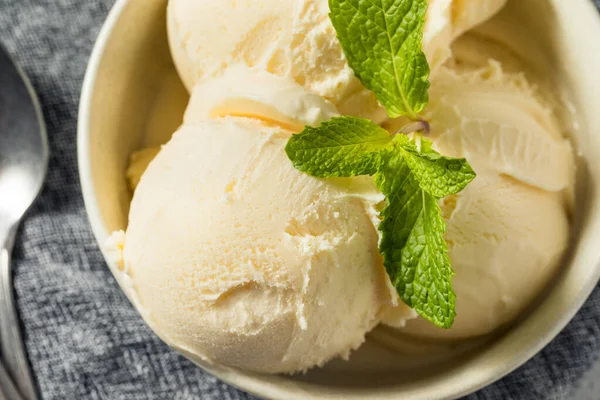 Homemade Frozen Vanilla Ice Cream Ready Eat — 스톡 사진