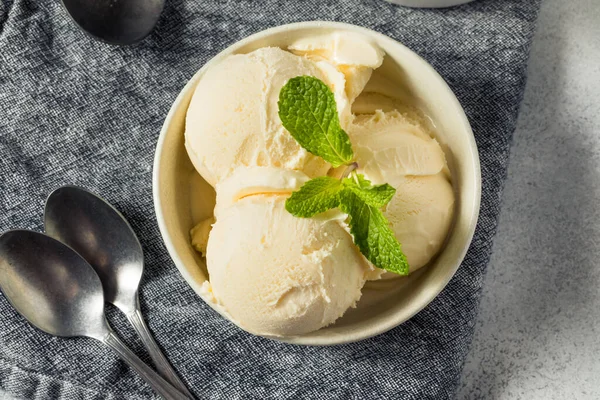Домашнє Заморожене Ванільне Морозиво Готове Їжі — стокове фото