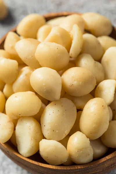 Nueces Ecológicas Crudas Macadamia Con Cáscara Tazón — Foto de Stock