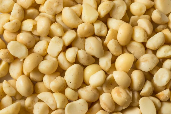 Raw Shelled Organic Macadamia Nuts Bowl — Stock Photo, Image