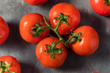 Çiğ Kırmızı Organik Sarmaşık Olgunlaşmış Domatesler Yemeye Hazır