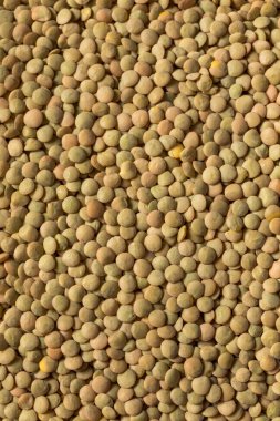 Çiğ Kahverengi Organik Mercimek Baklava Kâsesinde