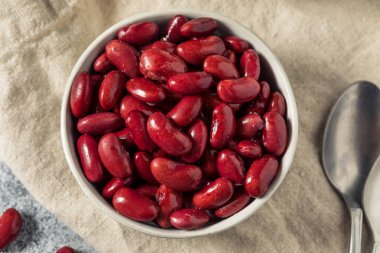 Bir kase çiğ kırmızı organik barbunya fasulyesi