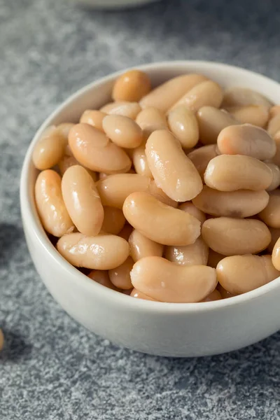 Frijoles Cannellini Blancos Orgánicos Crudos Tazón —  Fotos de Stock