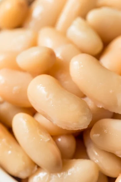 Raw Organic White Cannellini Beans Een Schaal — Stockfoto