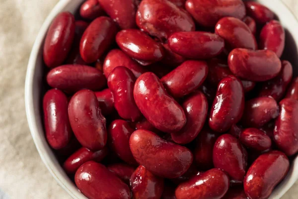 Raw Red Organic Kidney Beans Bowl — Stock Photo, Image