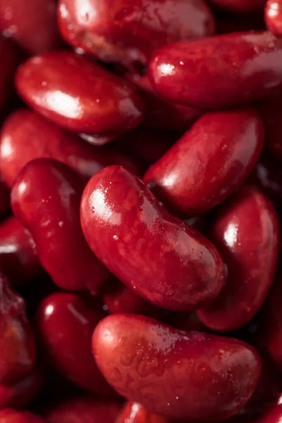 Raw Ekologiczne Fasoli Czerwonej Kidney Misce — Zdjęcie stockowe