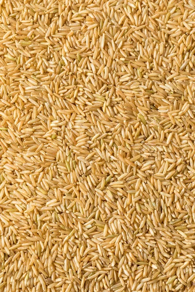 Riz Brun Sec Biologique Cru Prêt Cuire — Photo