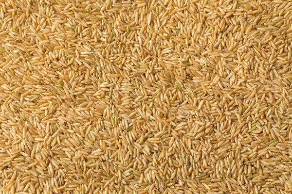 Raw Organic Dry Brown Rice Ready Cook — Stock Photo, Image